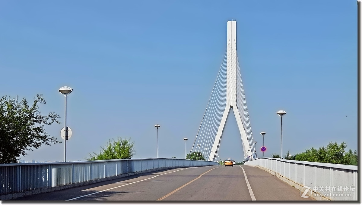 哈尔滨太阳岛斜拉桥图片