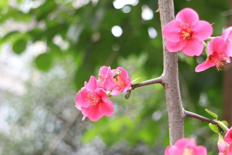 佳能m3可见一斑