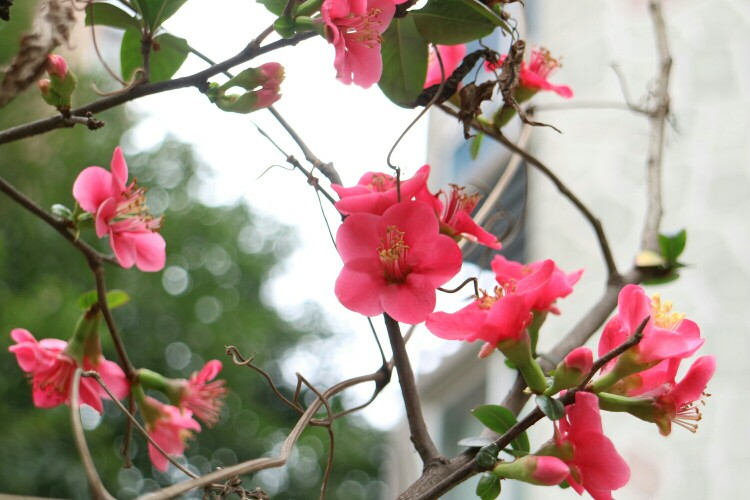 佳能m3可见一斑