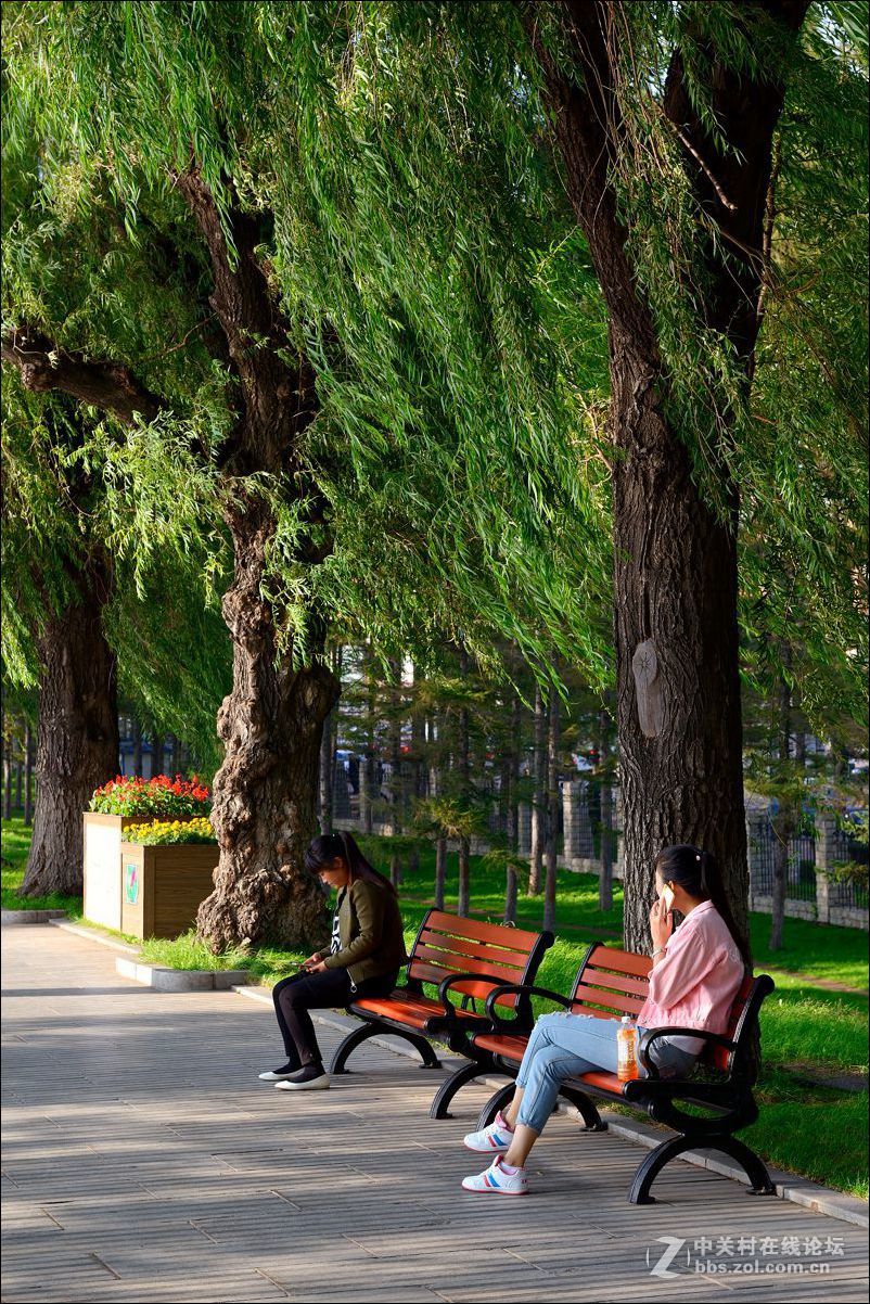 休闲随拍（352）