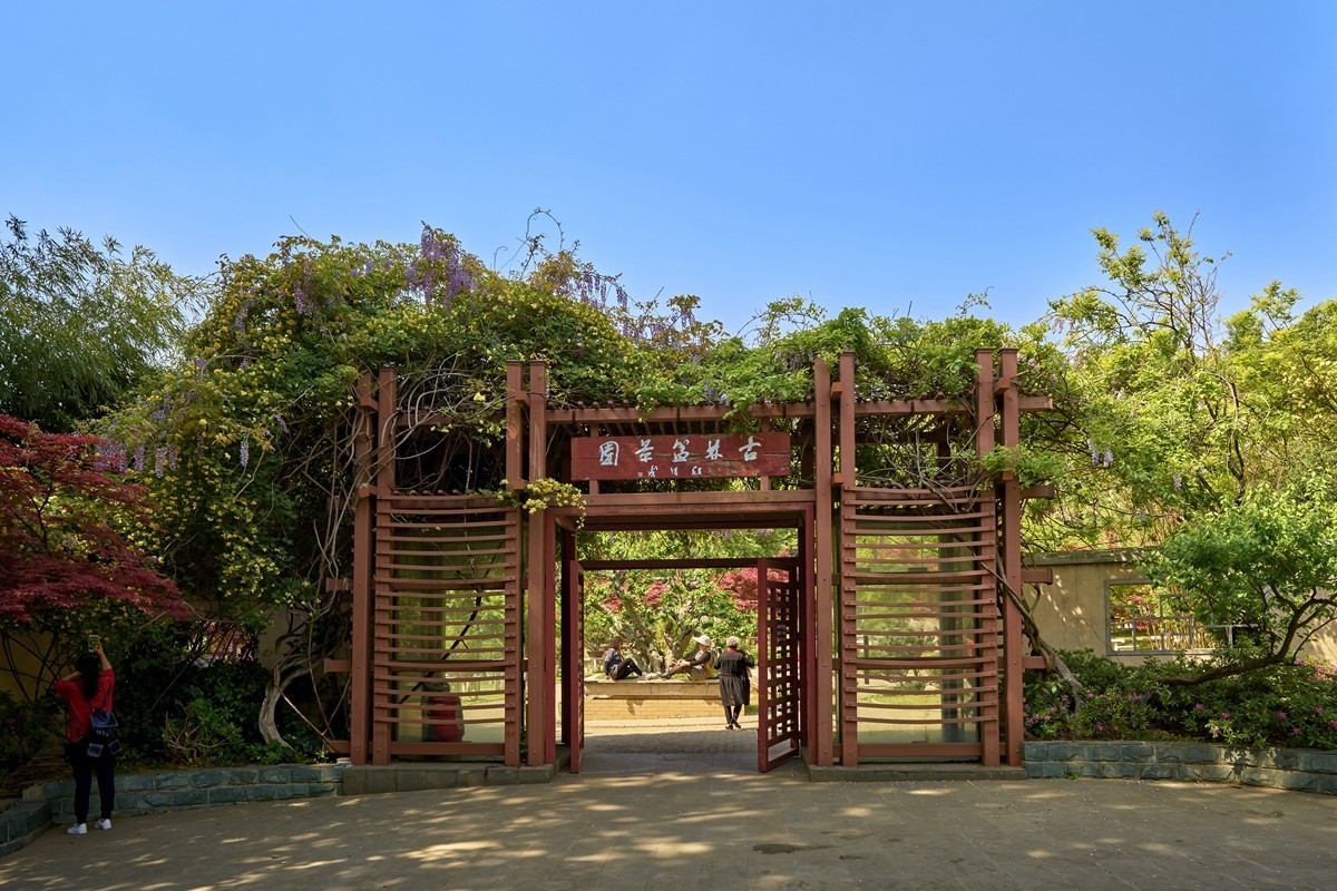 南京古林公园随拍