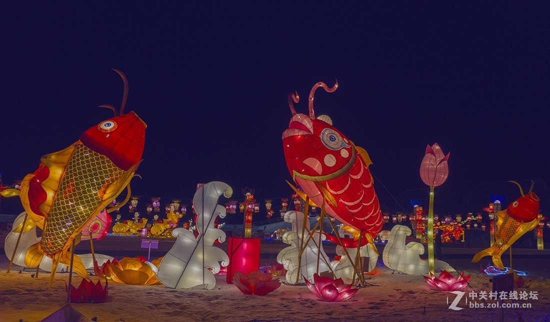 丰衣足食赏花灯