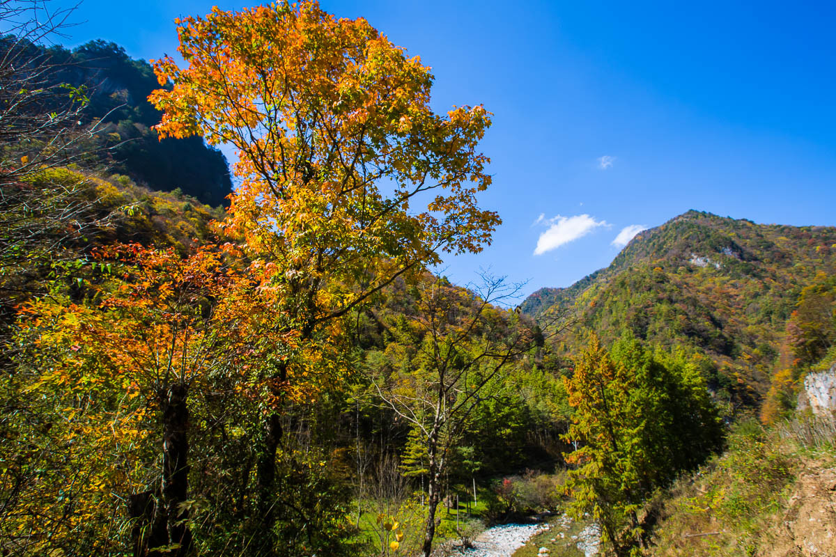 2015-12-04神农架—红坪画廊