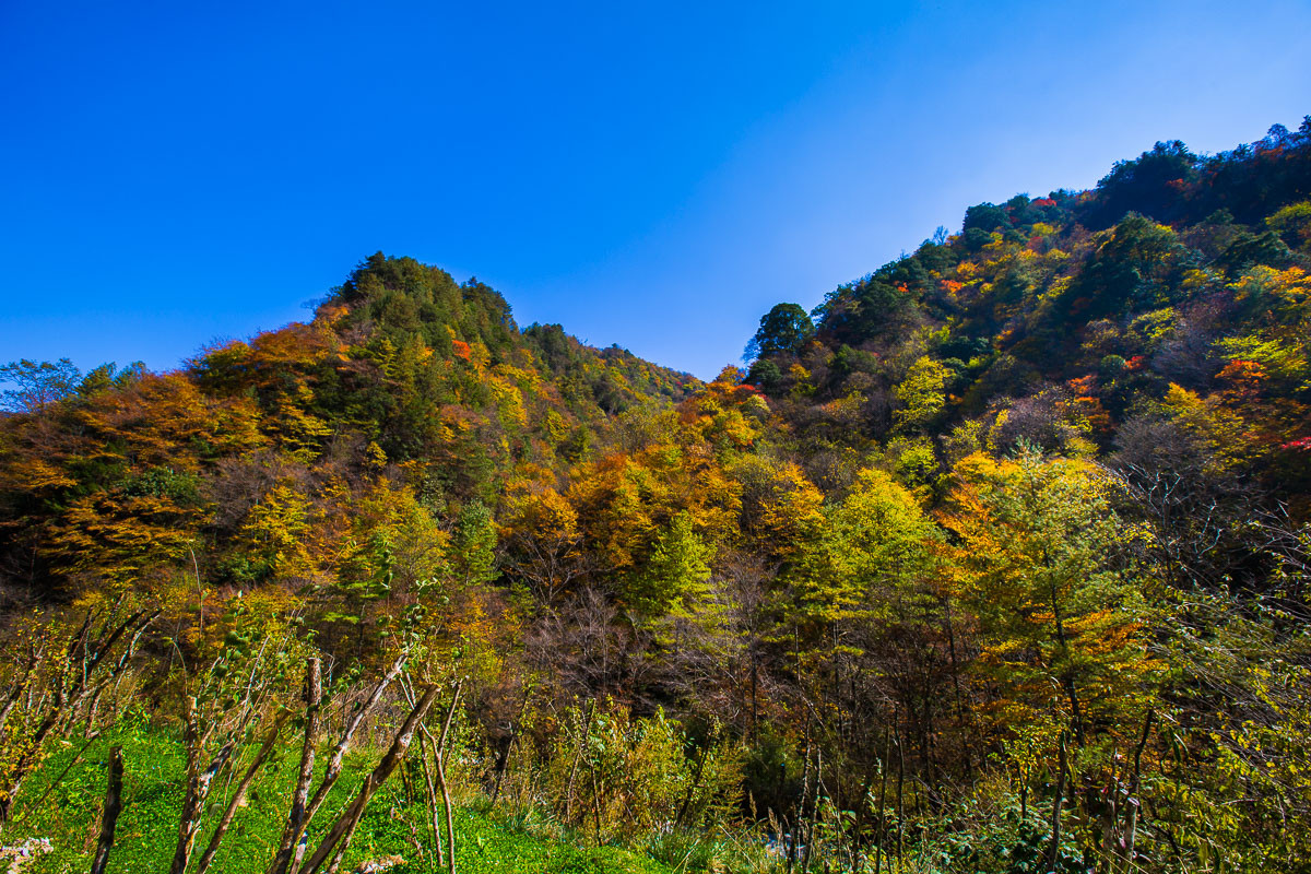 2015-12-04神农架—红坪画廊