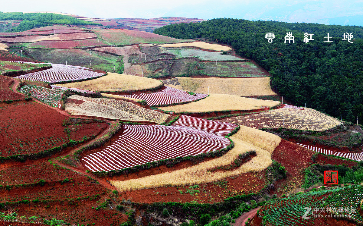 昆明东川红土地Ⅴ——与师友们欢度父亲节