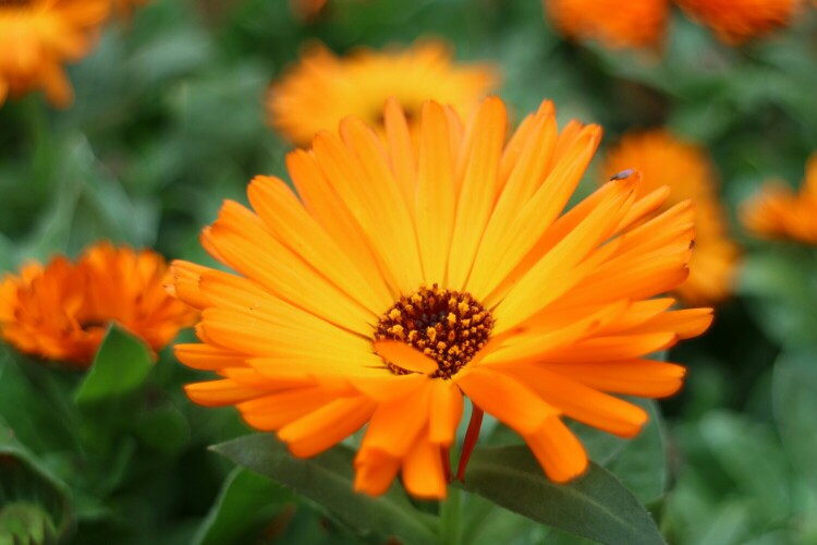 佳能m3可见一斑