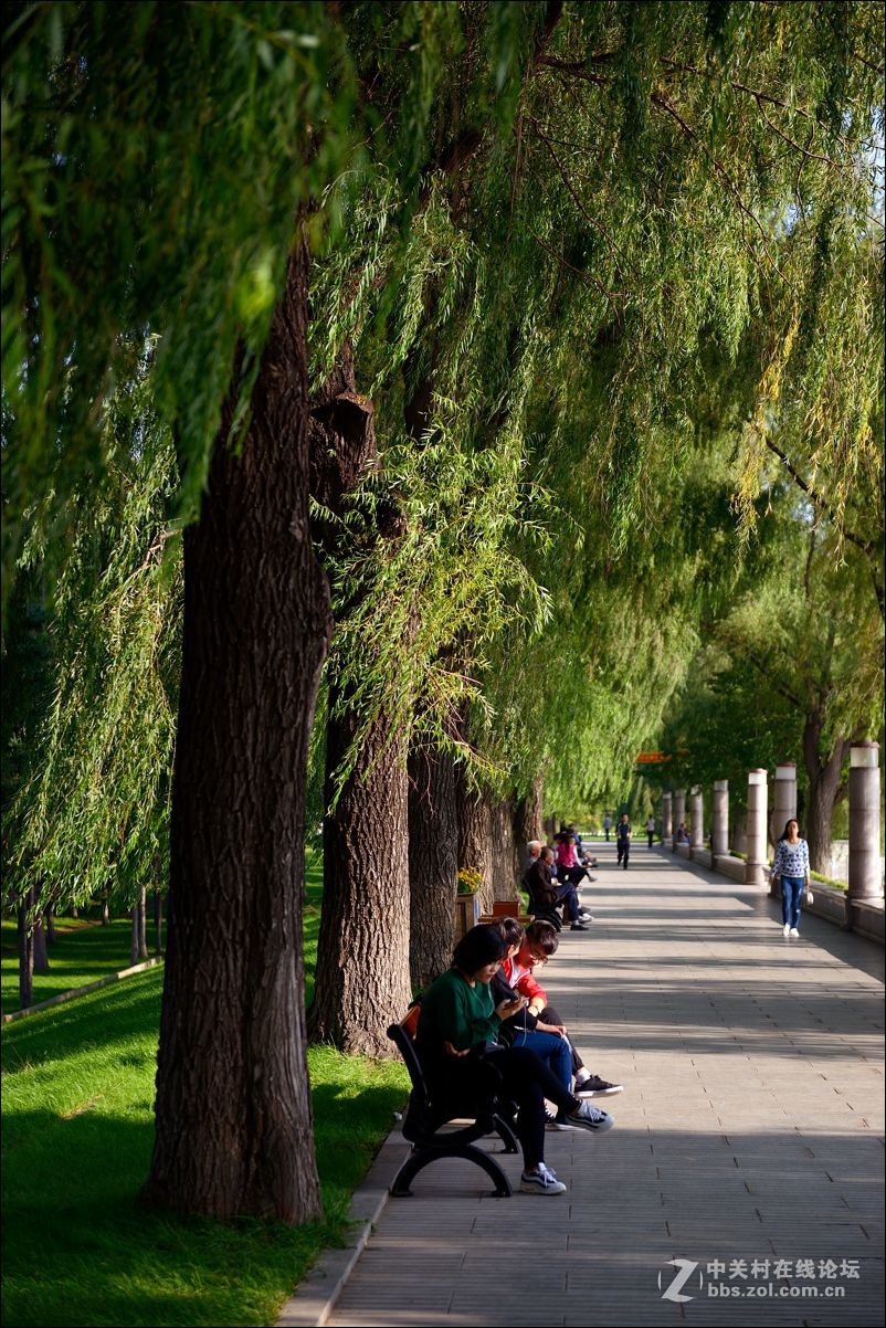 休闲随拍（352）