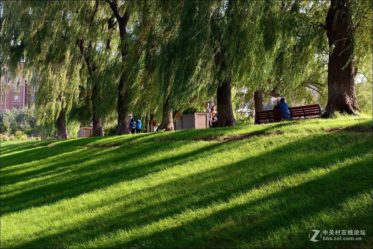 休闲随拍（352）