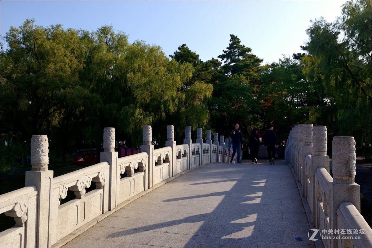 休闲随拍（352）