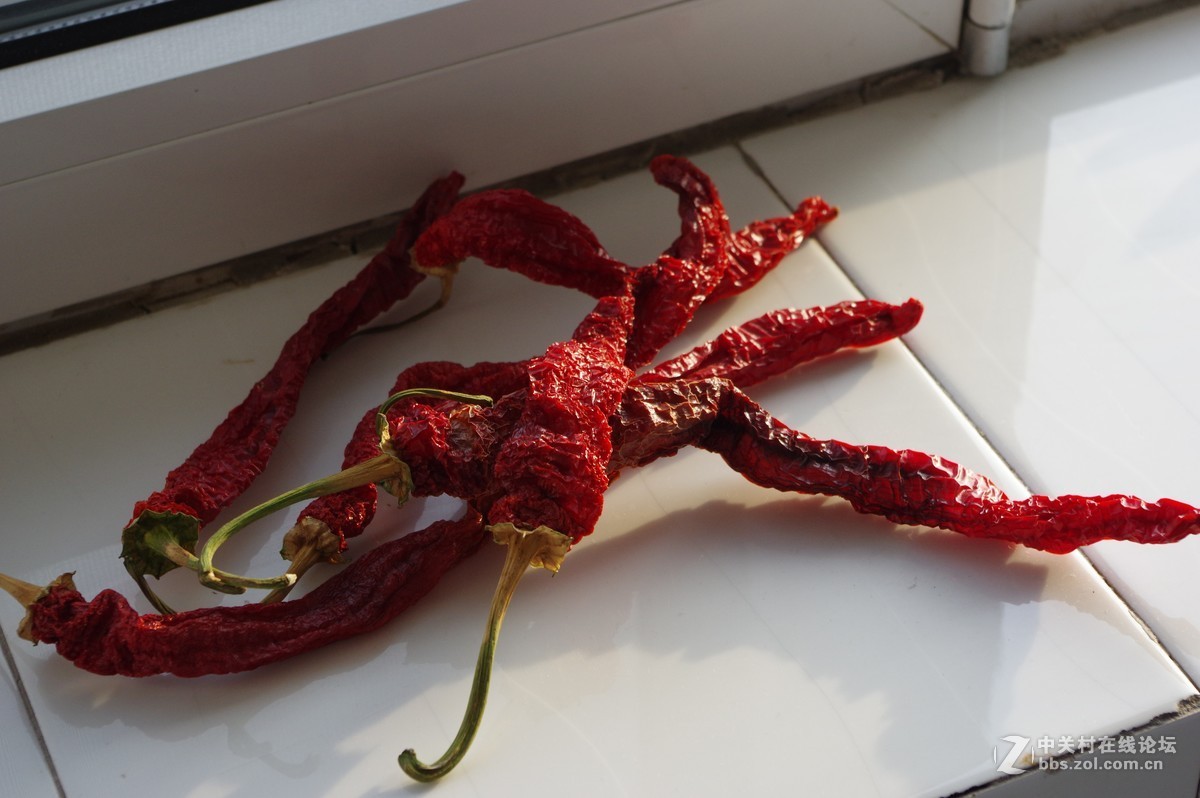 我买的二手k3为什么拍的图片没有数据信息，图片exif信息什么也没有，快门次数也没有？