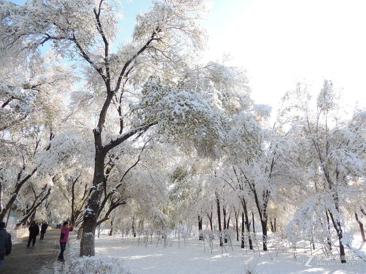 雪景杂篇