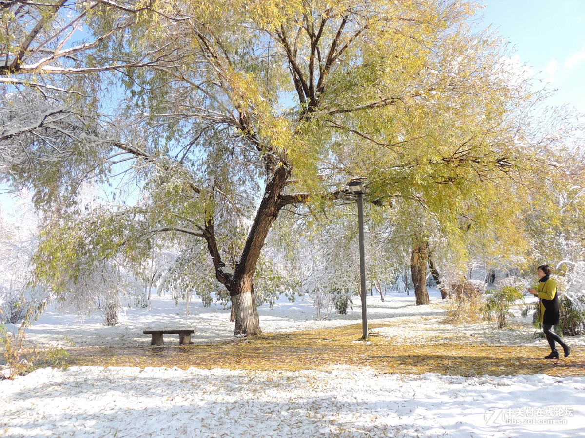 雪景杂篇