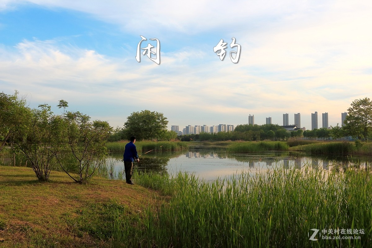 闲钓