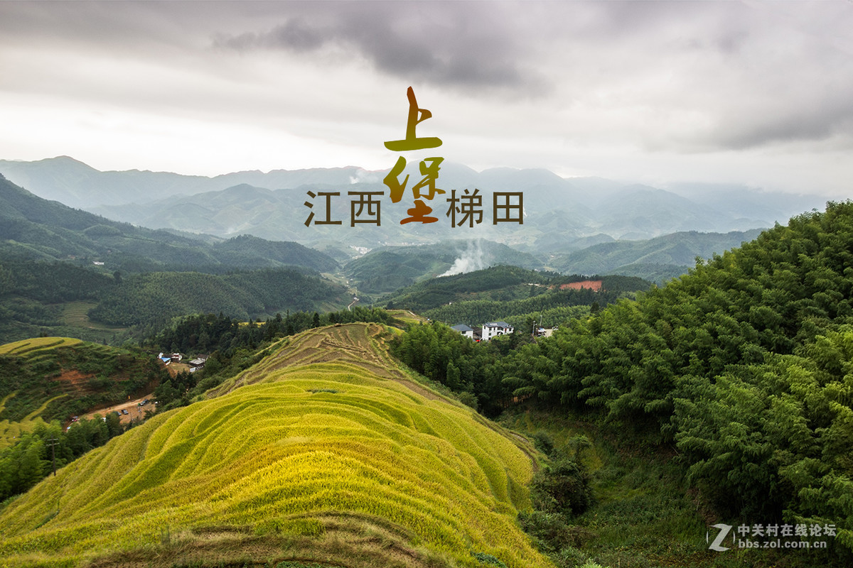 上堡梯田丰收季