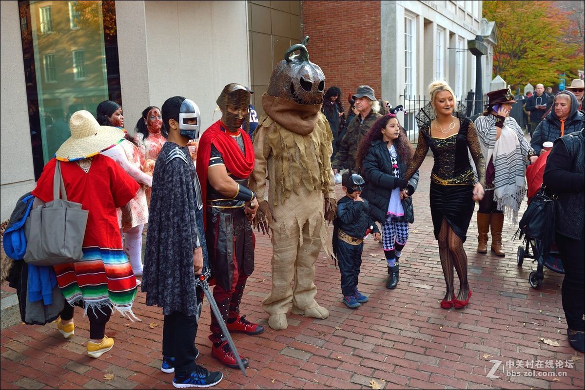 休闲随拍（333）