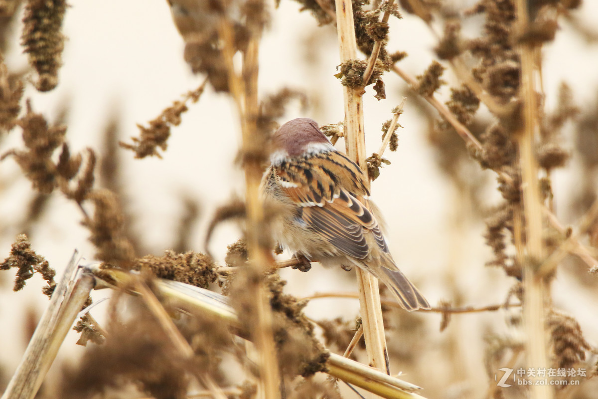 这么冷清，还是我来第一发吧，请指教