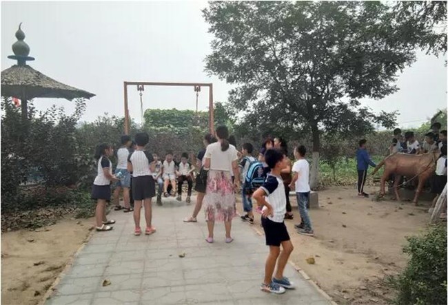 晋州旅游：众里寻他千百度，蓦然回首，那景却在，果香四溢田间处