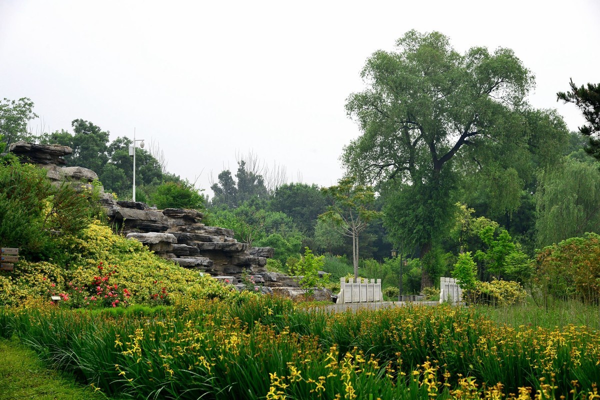 北京药用植物园图片