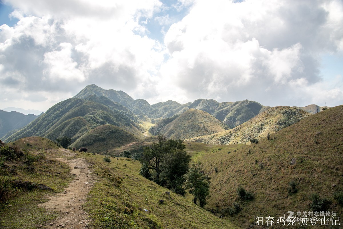 到此一游，尼康D610+尼康24 85VR