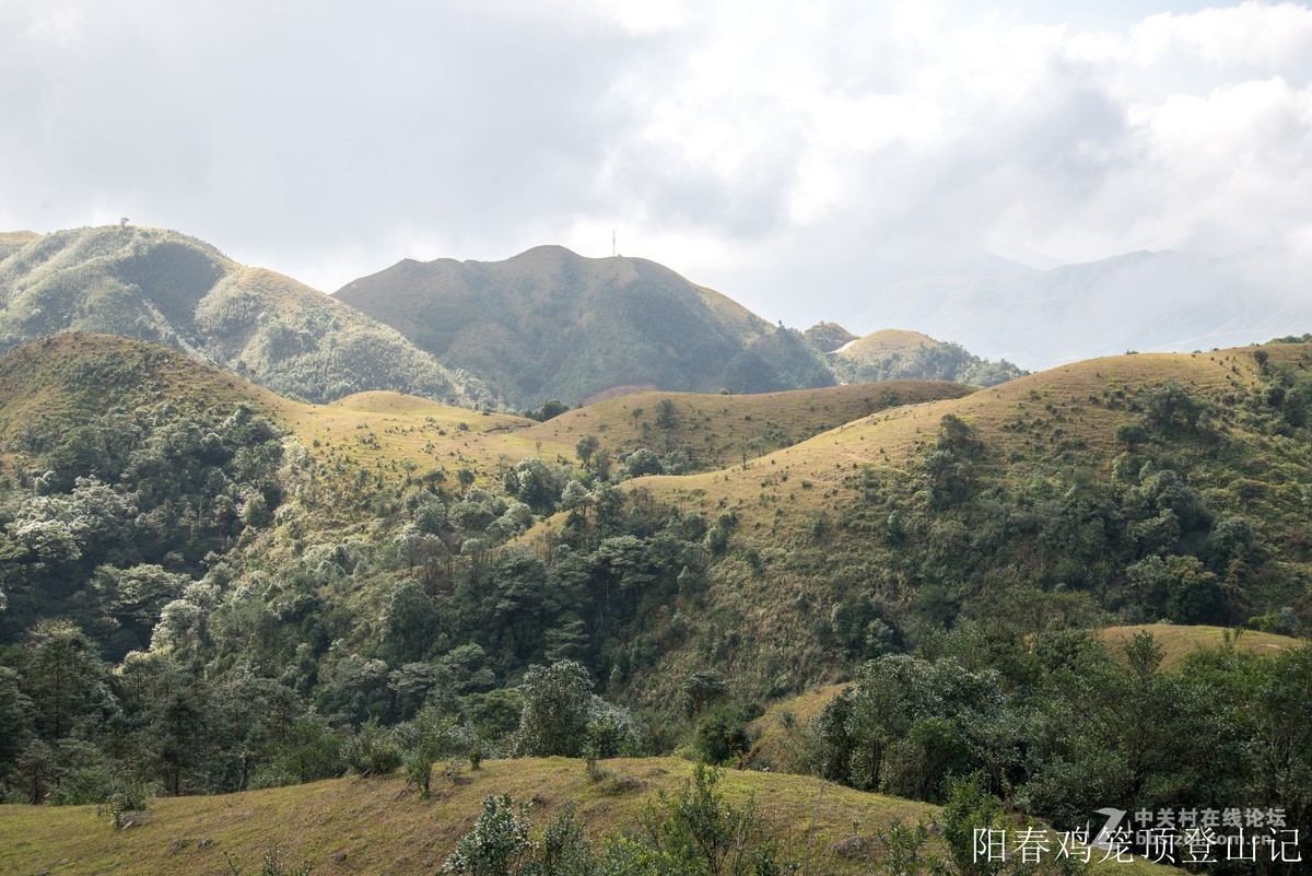 到此一游，尼康D610+尼康24 85VR