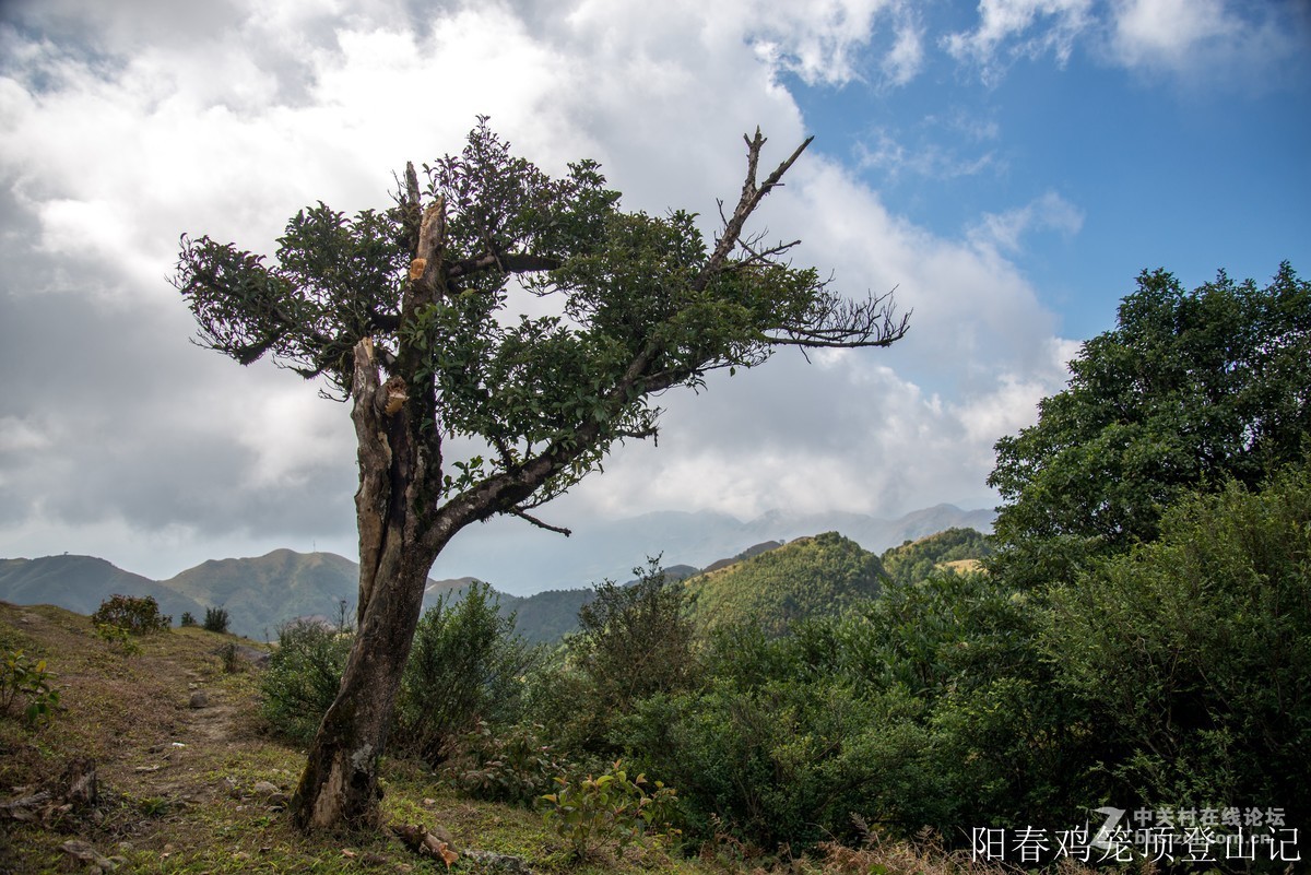 到此一游，尼康D610+尼康24 85VR