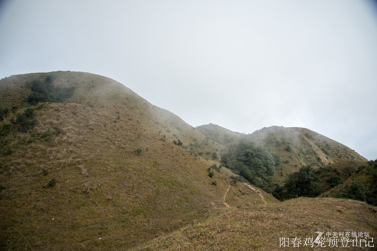 到此一游，尼康D610+尼康24 85VR