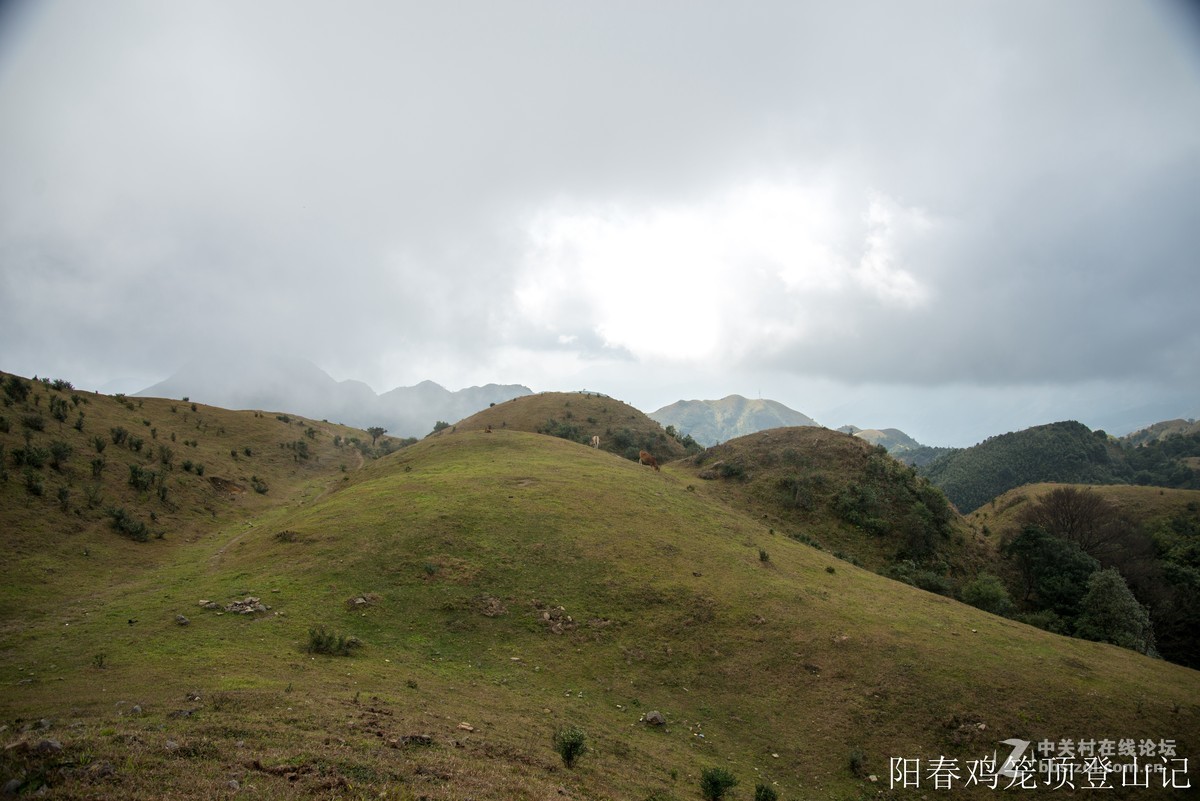 到此一游，尼康D610+尼康24 85VR