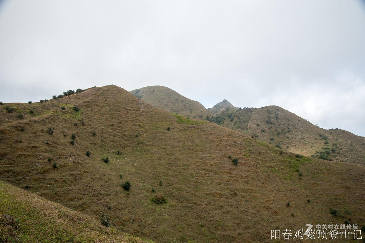 到此一游，尼康D610+尼康24 85VR
