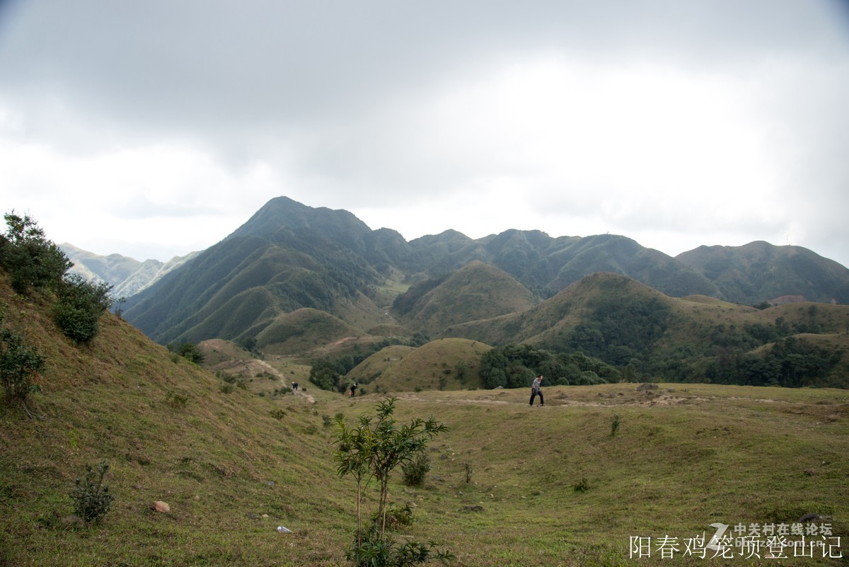 到此一游，尼康D610+尼康24 85VR
