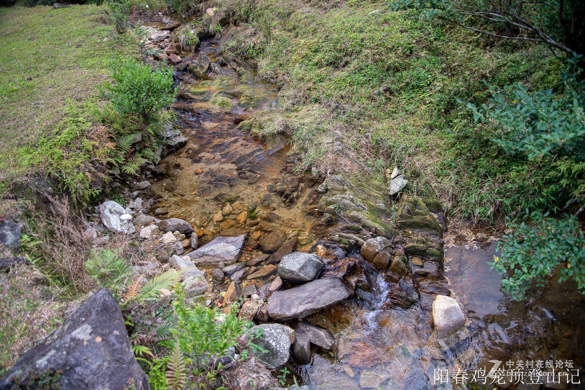 到此一游，尼康D610+尼康24 85VR