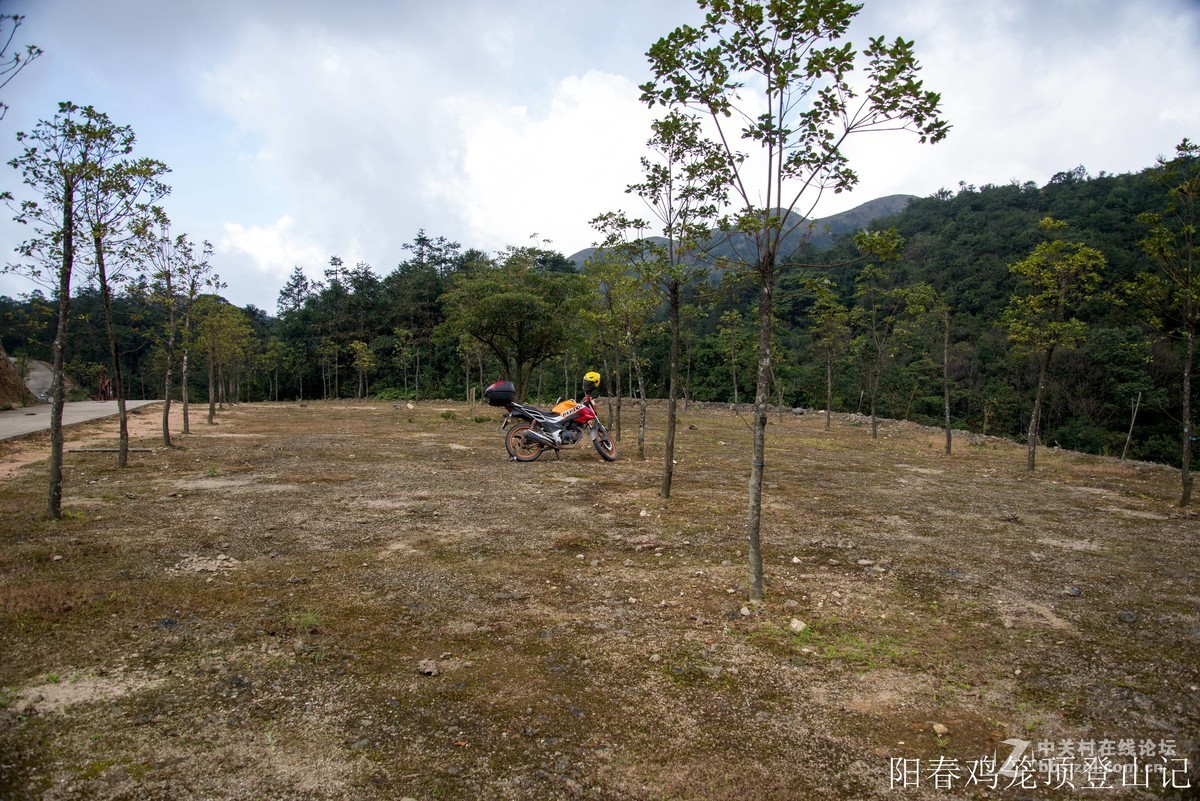 到此一游，尼康D610+尼康24 85VR