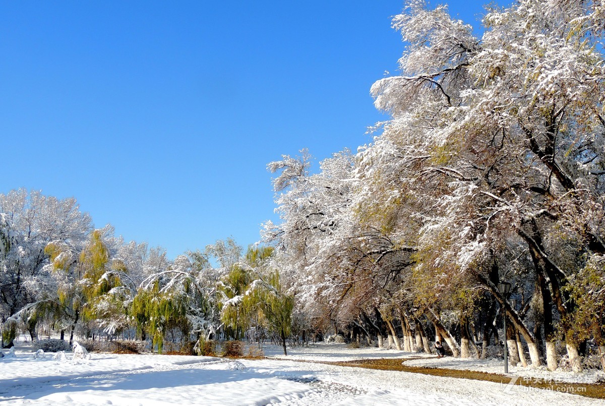 雪景杂篇
