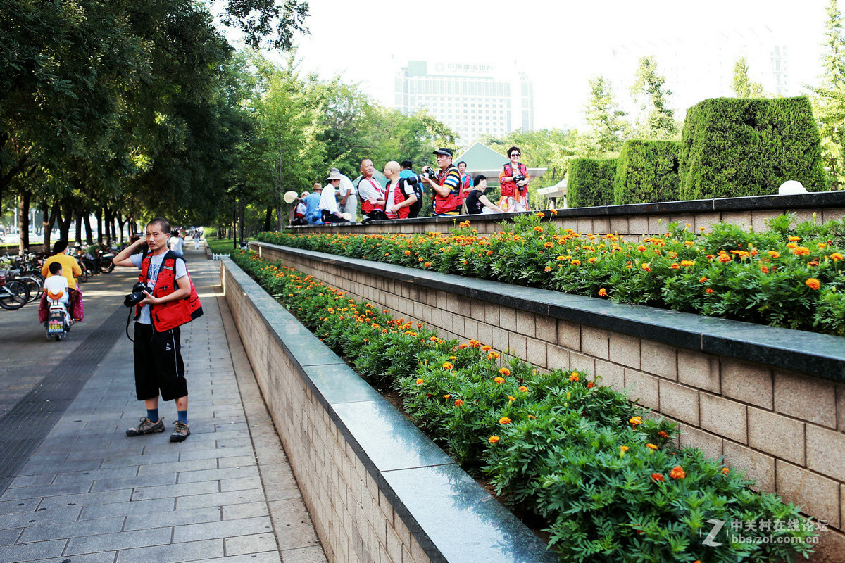 淄博市“文明出行 平安一生”宣传活动纪实剪影