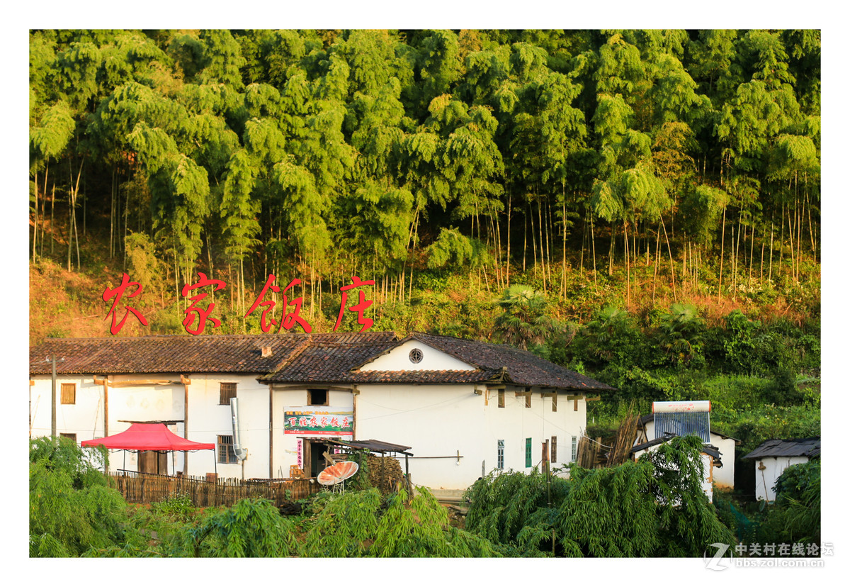 上堡梯田丰收季