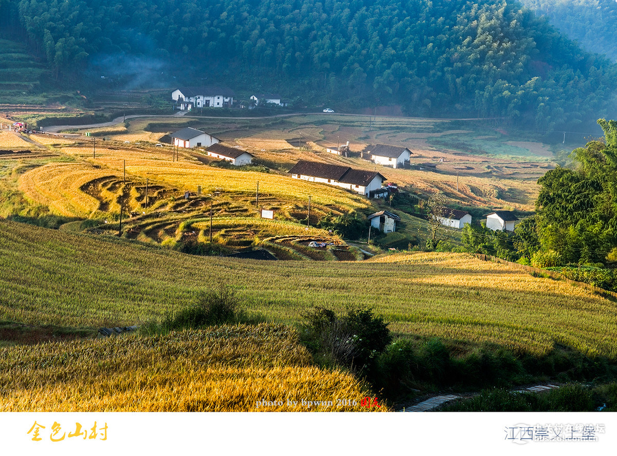 上堡梯田丰收季