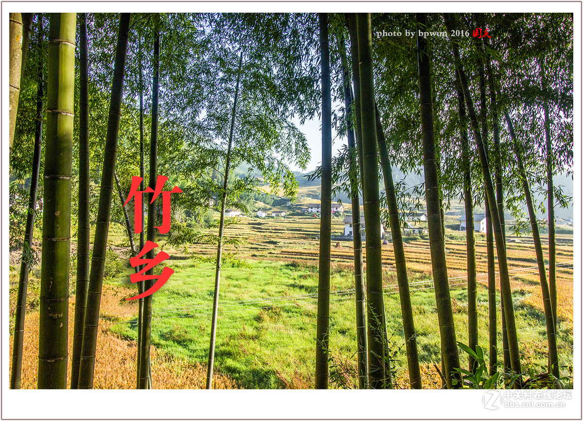 上堡梯田丰收季