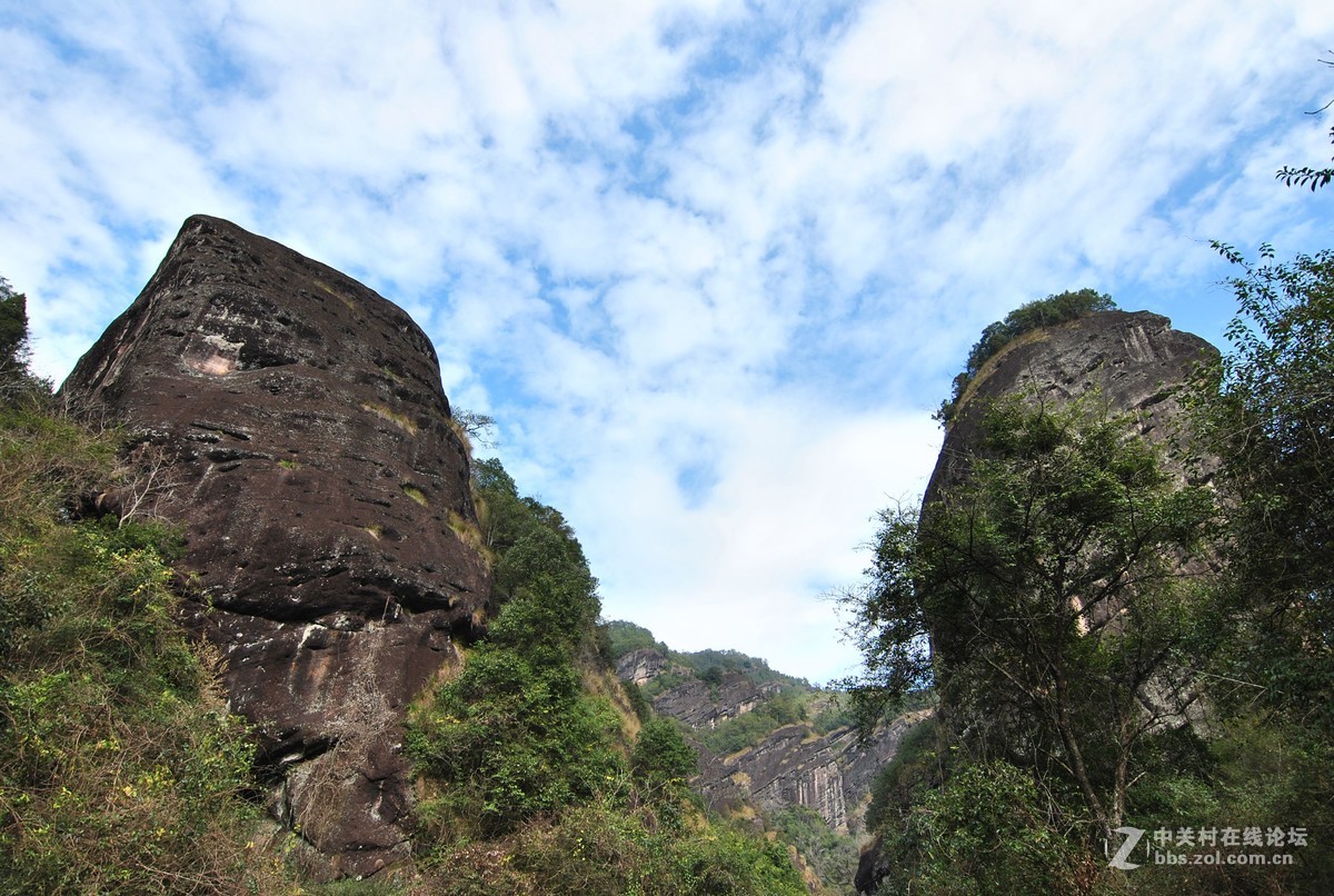 大美武夷山
