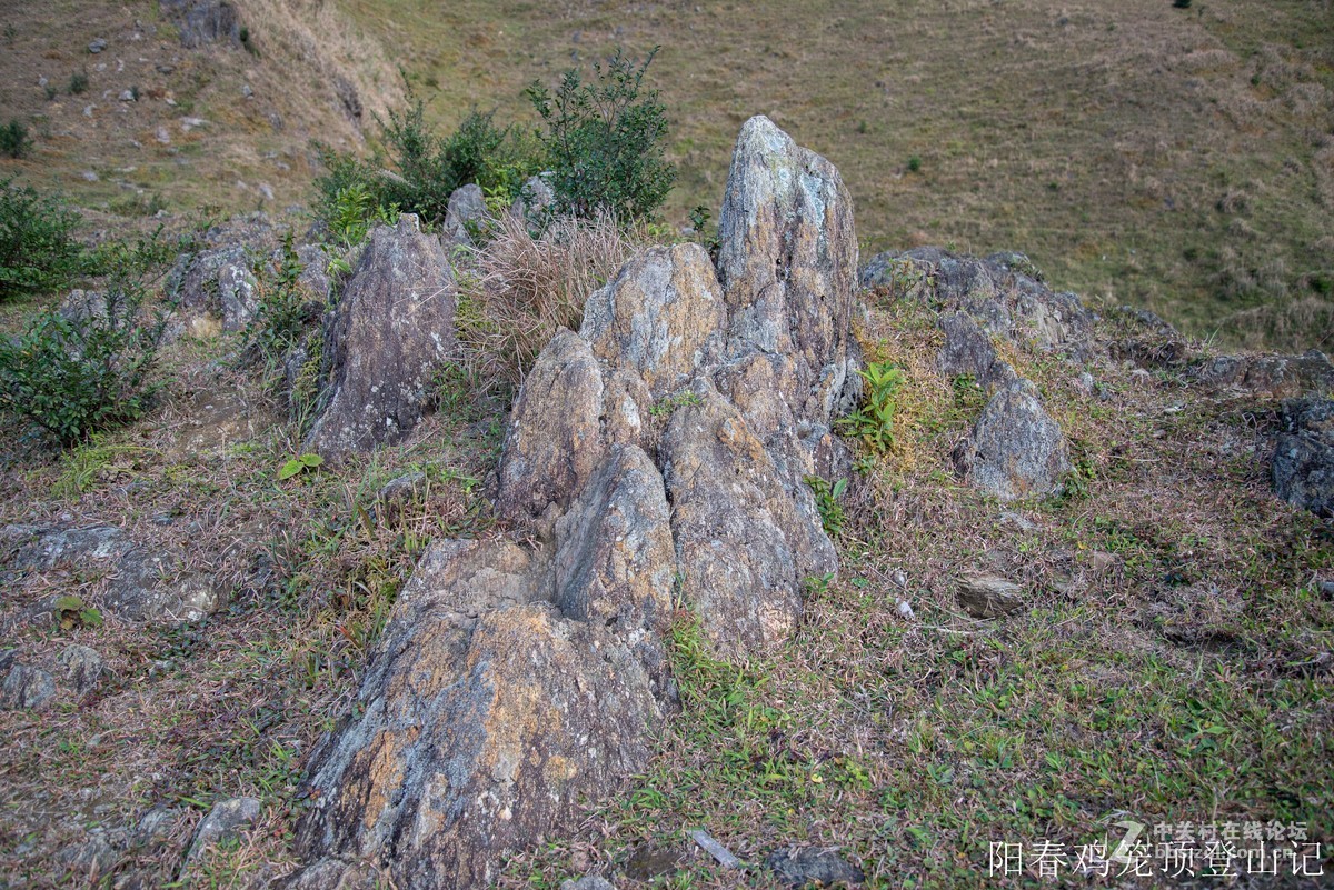 到此一游，尼康D610+尼康24 85VR