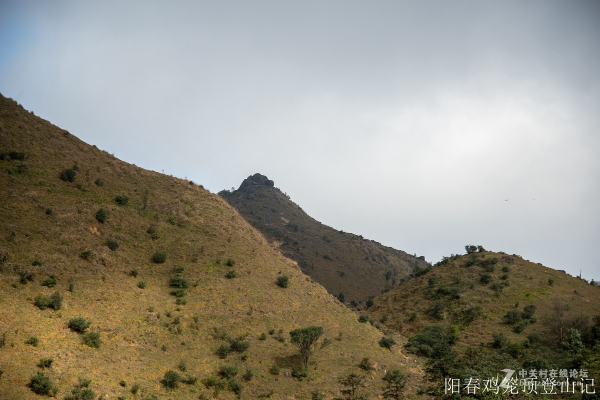 到此一游，尼康D610+尼康24 85VR