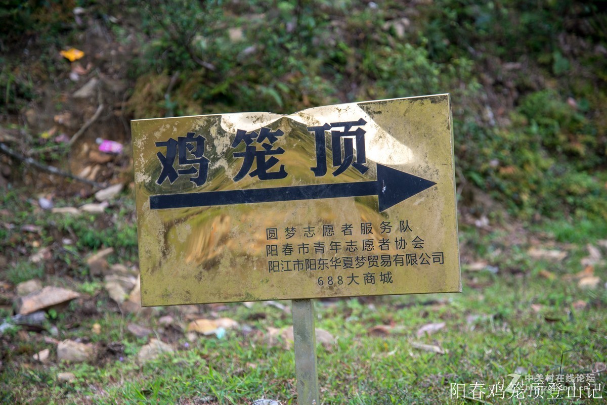 到此一游，尼康D610+尼康24 85VR