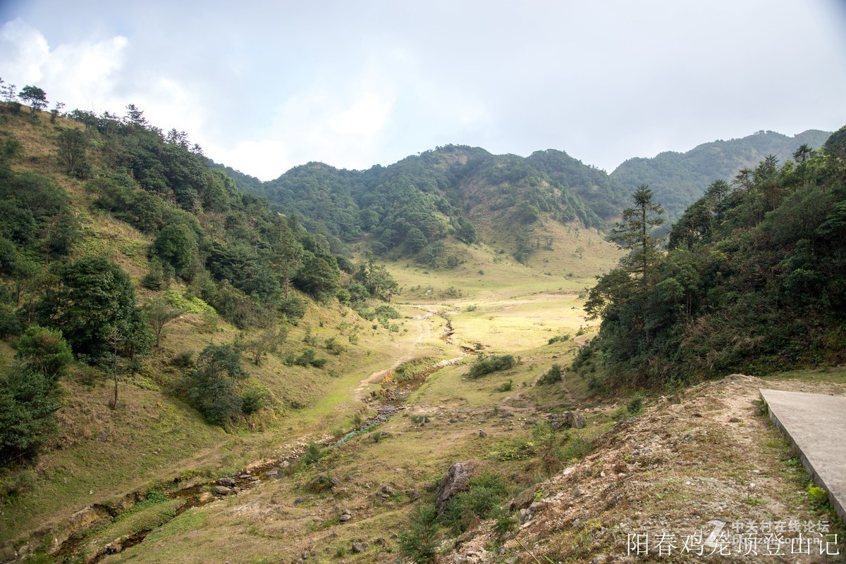 到此一游，尼康D610+尼康24 85VR