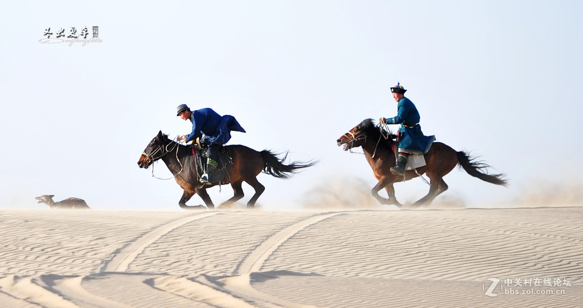 马踏黄沙尘飞扬，大漠深处有骑强。纵横沙海任我翔，茫茫隔壁一片黄。[呲