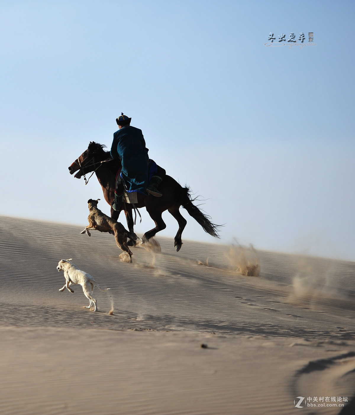马踏黄沙尘飞扬，大漠深处有骑强。纵横沙海任我翔，茫茫隔壁一片黄。[呲