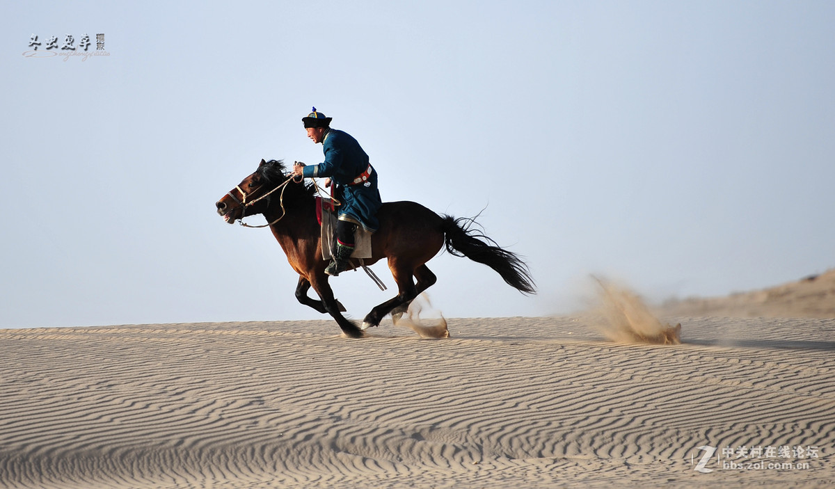 马踏黄沙尘飞扬，大漠深处有骑强。纵横沙海任我翔，茫茫隔壁一片黄。[呲
