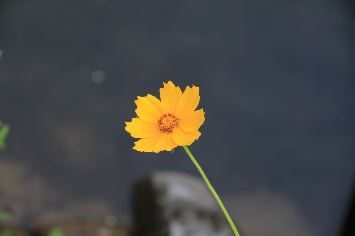 80D拍的一组照片，请观看、点评