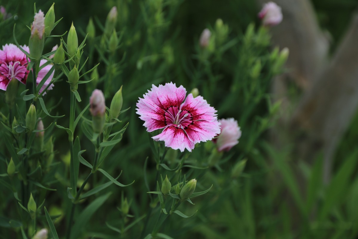 80D拍的一组照片，请观看、点评