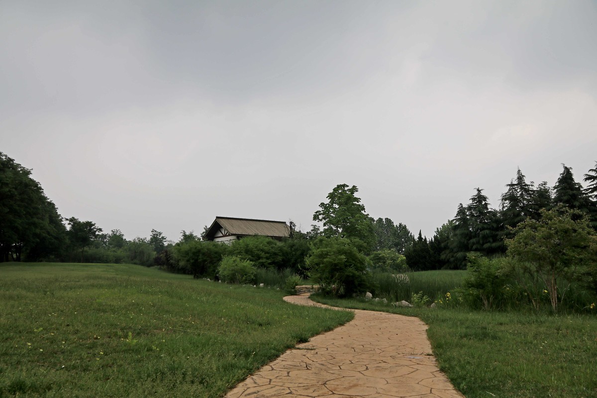 80D拍的一组照片，请观看、点评