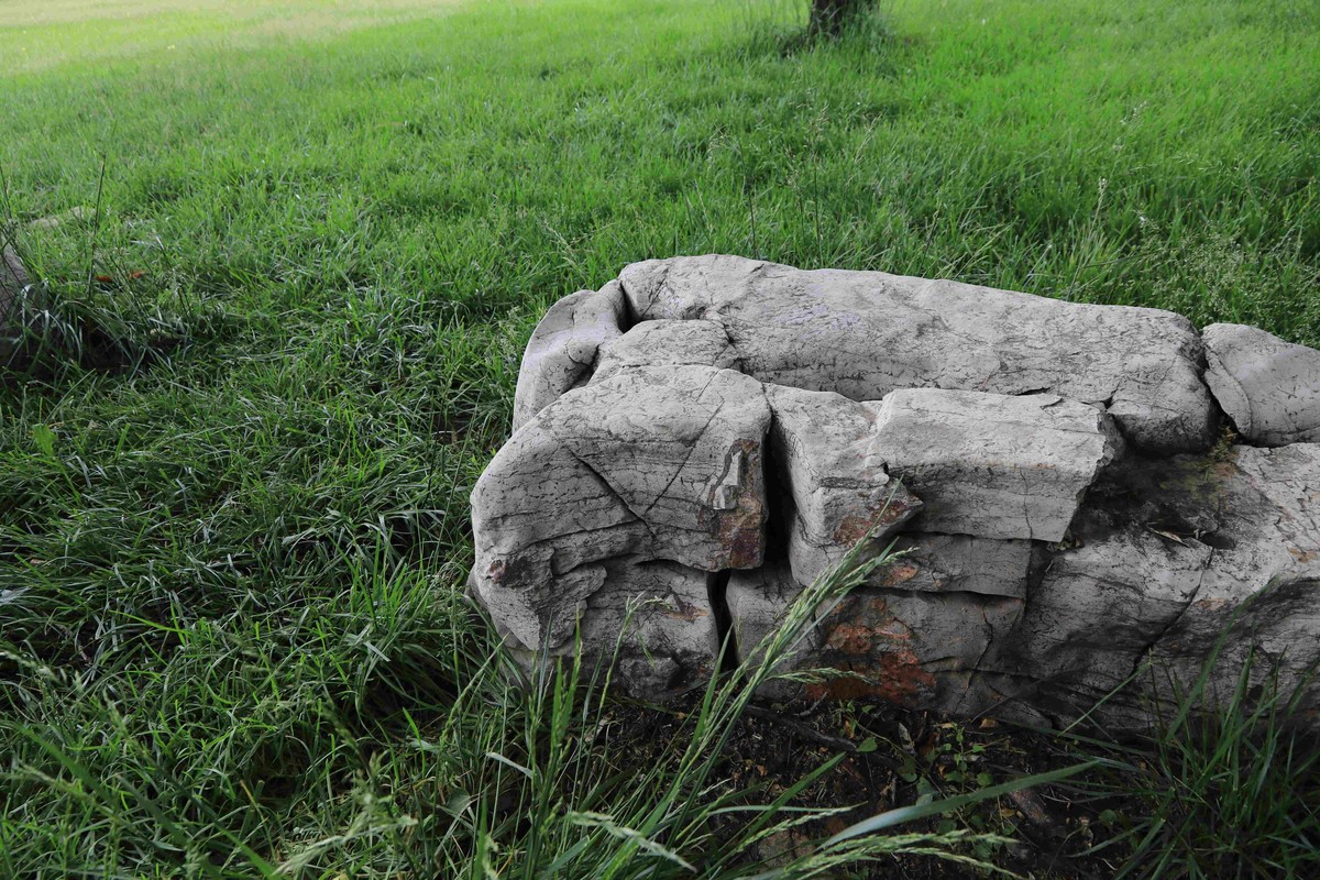 80D拍的一组照片，请观看、点评