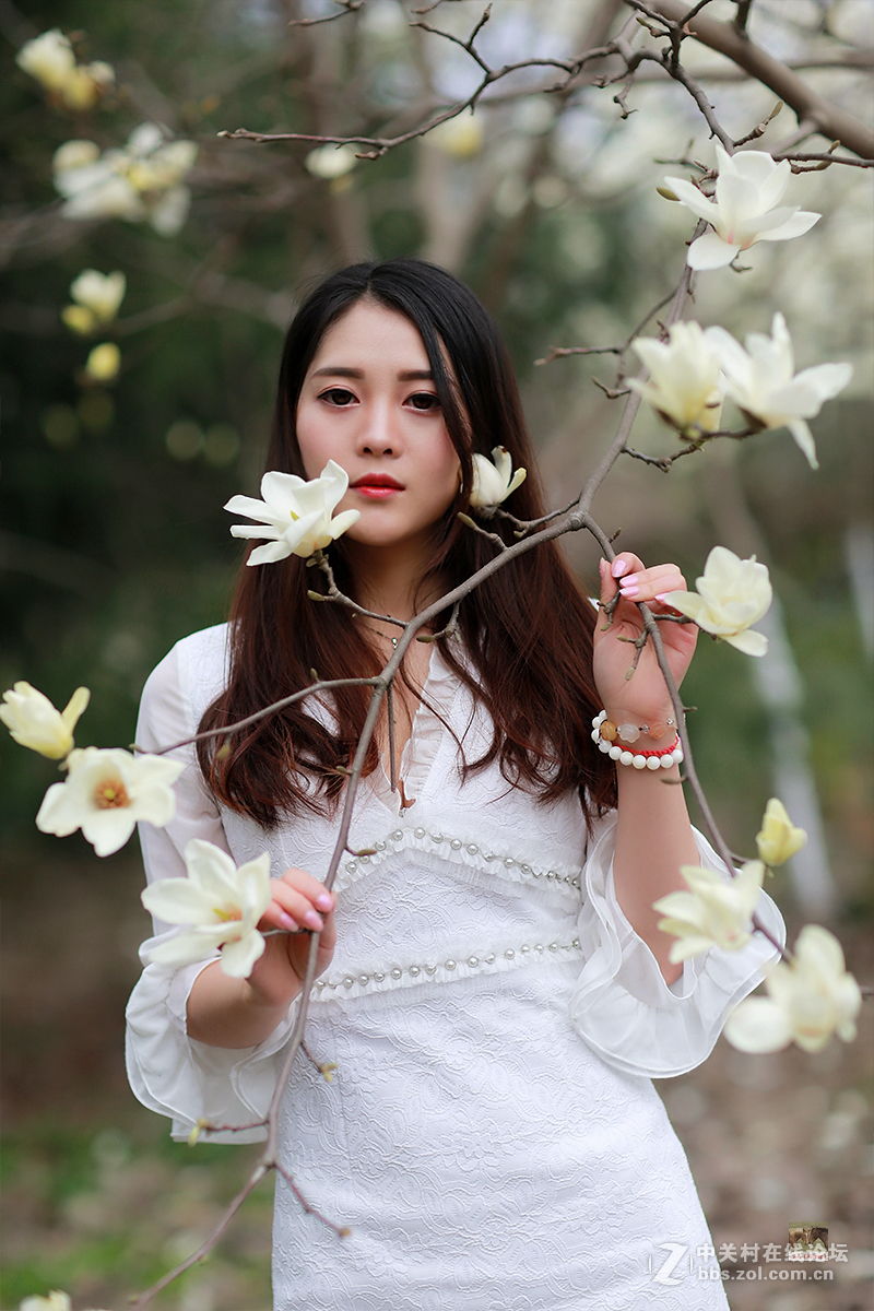 白玉兰物语（桐桐）