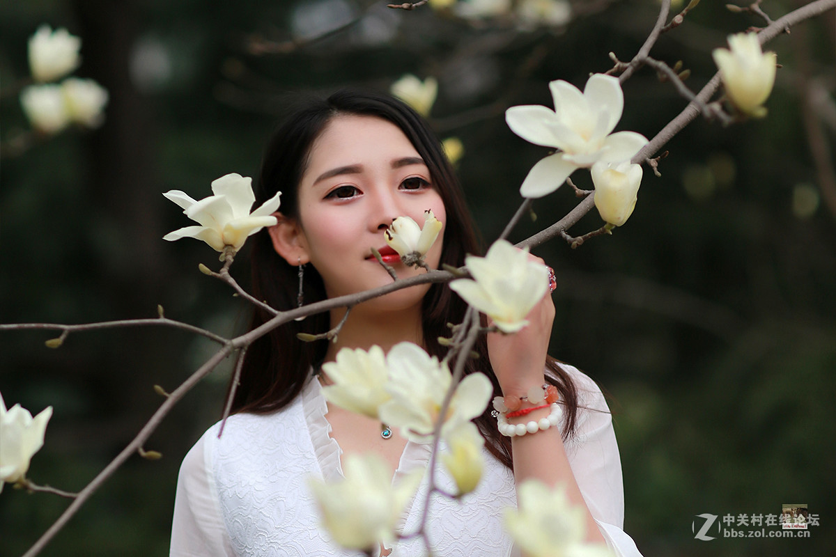 白玉兰物语（桐桐）